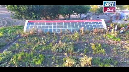 Cook's Challenge - Episode 07 in High Quality on ARY Zindagi - 23rd June 2018