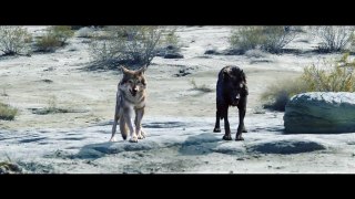Alpha (2018)#3 International Movies Trailers