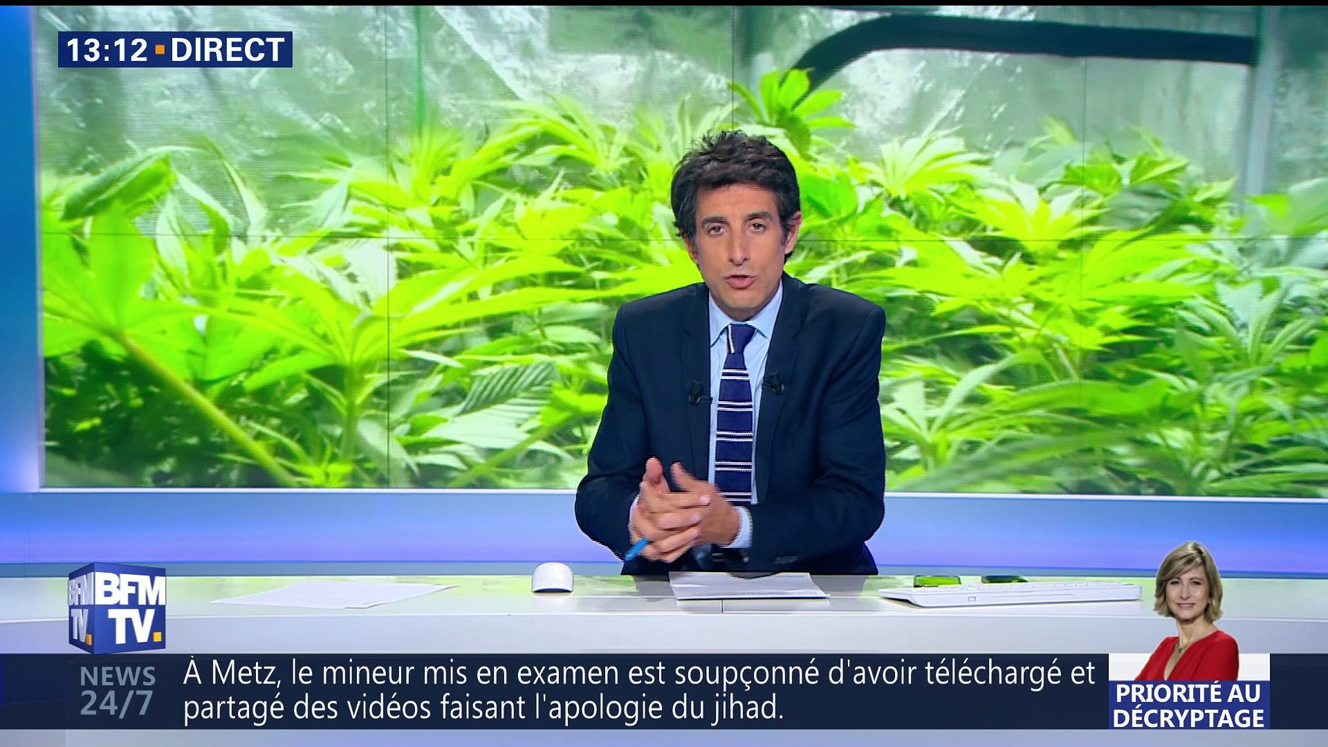 La folie cannabis