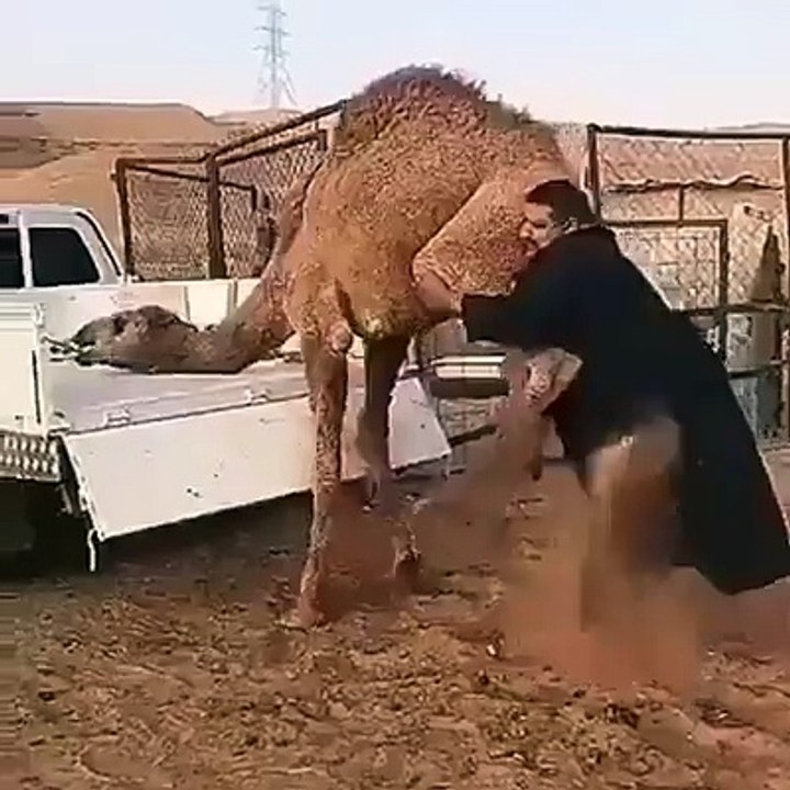 Xaalada Dhulbahante Vs MJ & ISAAQ