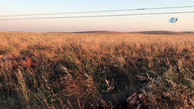 300 bin lira değerindeki 2 yarış atı akıma kapılarak telef oldu