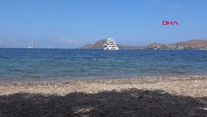 Muğla Kazak Milyarder Bodrum'dan Ayrılamadı
