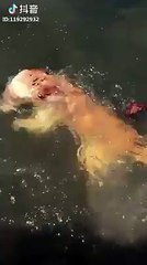 The dog fish nothing better than me