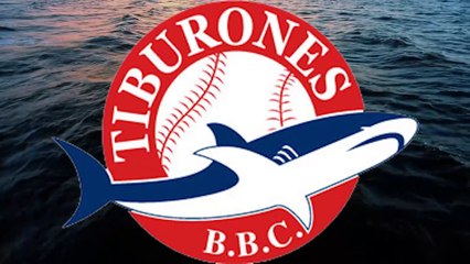 Erwin Miyasaka te muestra la mascota oficial de los Tiburones de la Guaira