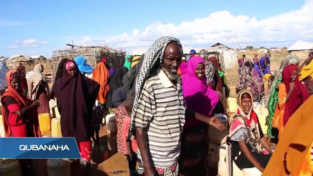 DAAWO, Qubanaha Maanta. Qodobbada kujira waxaa kamid ah: Tirada Barakacayaasha iyo Qaxootiga dunida oo sanadkan si xad-dhaaf ah sare ugu kacday. Nolosha Qaxooti