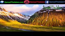 Maulana Tariq Jameel Ke Aik Jawab Se Yahoodi Muslman Ho Gya