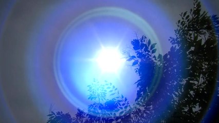 [날씨] 서울 첫 폭염특보 발효...강릉은 첫 열대야 / YTN