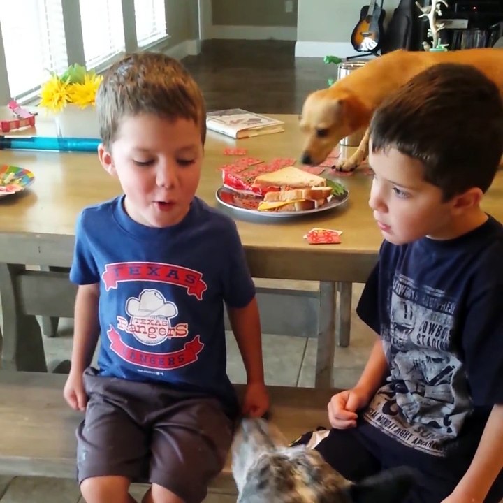 GRACIOSAS IMAGENES DE ANIMALES A LA CAZA DE COMIDA