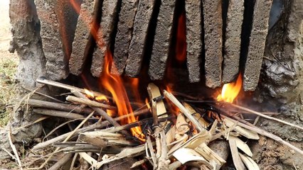 Build Swimming Pool Around Underground House