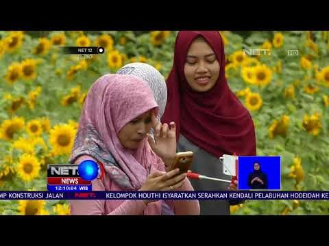 Taman Bunga Nawari Menawarkan Sensasi Berswafoto Ala Jepang -NET12