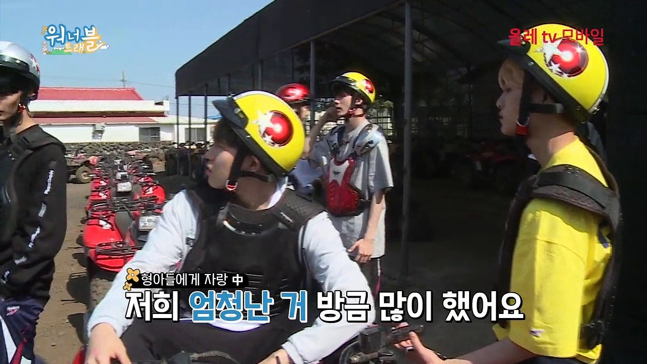 워너트래블 개인 예고 배진영