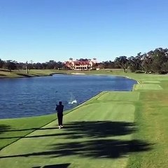 Impossible golf accident. guy KILLS duck with driver mid-flight