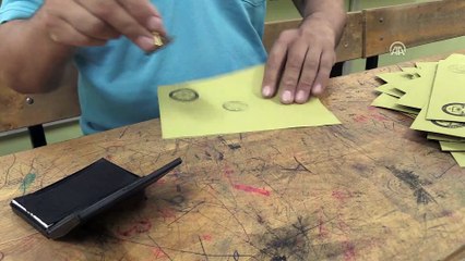 Türkiye sandık başında (2) - SAKARYA