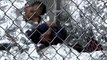 Video taken on June 15 shows children of illegal immigrants being held in wire cages and sleeping on concrete floors with space blankets to keep warm after bein