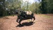 Boston Dynamics Deadly Future Weapon BigDog LS3 Robots Can Be Worst NightMare