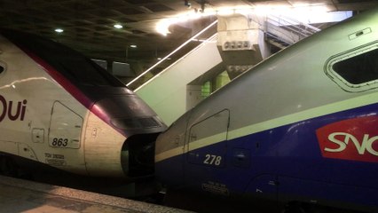 TGV 29000 ( Duplex ) et TGV 2N2 ( RGV 2N ou EuroDuplex ) - LGV Atlantique - Paris  Montparnasse