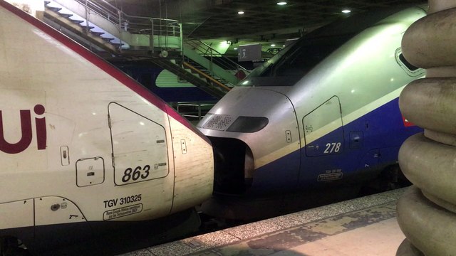 TGV 29000 ( Duplex ) et TGV 2N2 ( RGV 2N ou EuroDuplex ) - LGV Atlantique - Paris Montparnasse