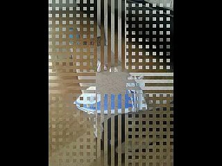 Yalı Mahallesi ikinci el beyaz eşya alanlar | 0542 541 06 06