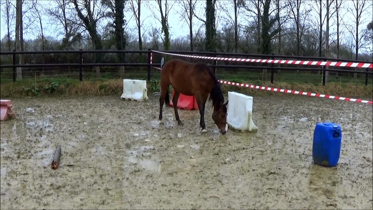 Gaza des Edènes découverte saut 2 ans