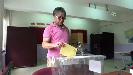 Oy kullanmaya güvercin ve papağanla geldiler - AMASYA