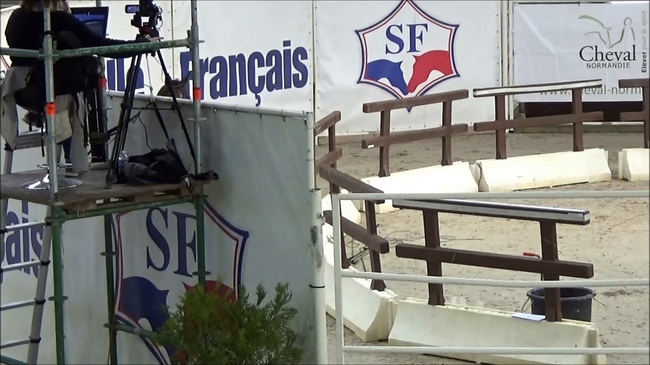 Falkho des Edènes 3 ans local