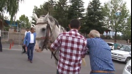Oy Kullanmaya At Üzerinde Gitti