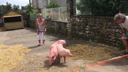 Ruaux : la course des trois petits cochons en images