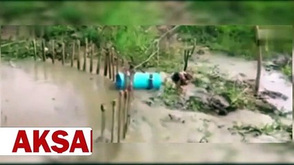 Tuzağa canavar takıldı