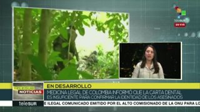 Colombia: realizan estudios genéticos a cuerpos hallados en Tumaco