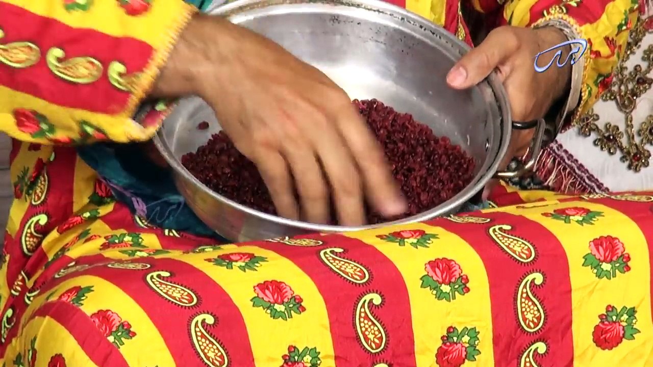 پوزخند"دسیسه"/poozkhand"dasiseh"