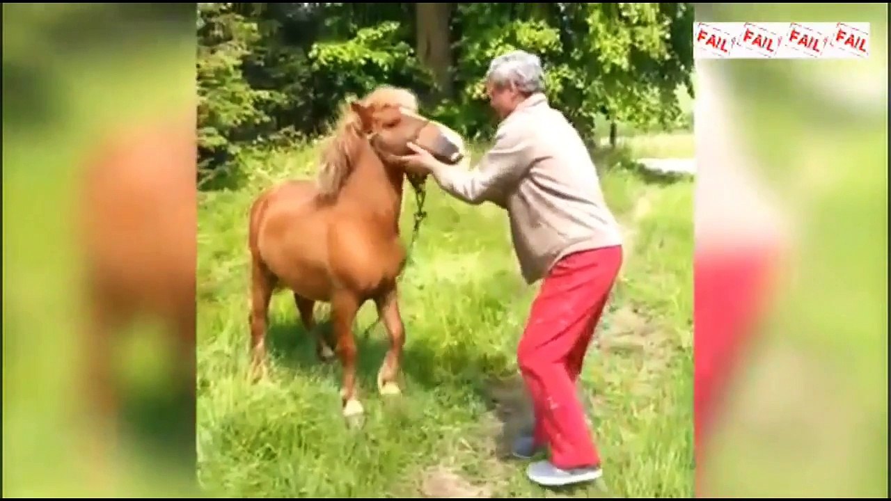 FARM ANIMAL FAILS | Funny Fail Compilation