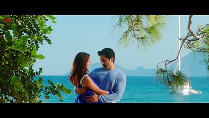 Tere Bin _ Wajood Movie _ New Love Song _ Danish Taimoor, Saeeda Imtiaz _ Hindi _HD