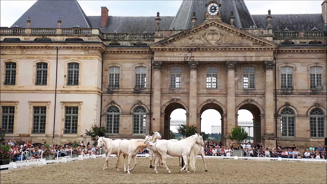 Spectacles lors des rencontres équestres à Lunéville