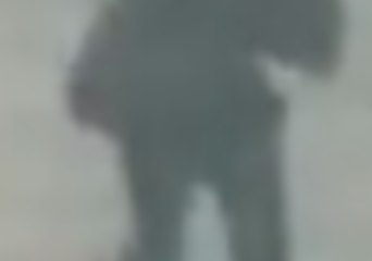 Man in Suit Paddleboards to Work Across New York's Hudson River