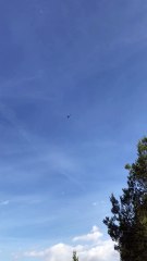 Chopper in Spain | Anthony S Casey Singapore