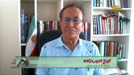 ادیب زاده: رسانه‌های دنیا از بازیهای درخشان ایران در جام جهانی شگفت زده شده اند