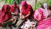 Build Bamboo Bridge For Villagers To Cross Sub River - Chicken Hodgepodge Cooking To Feed Builders