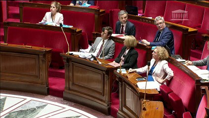 16 juin 2018. Extraits de la discussion sur les amendements aux articles 35 et 36 de la loi emploi.