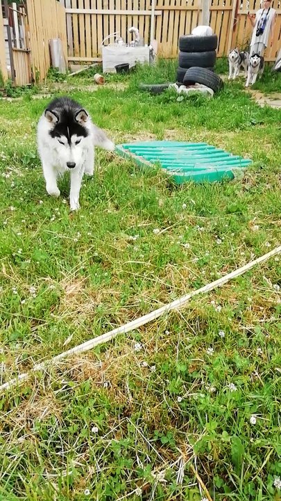 The best game on a hot day