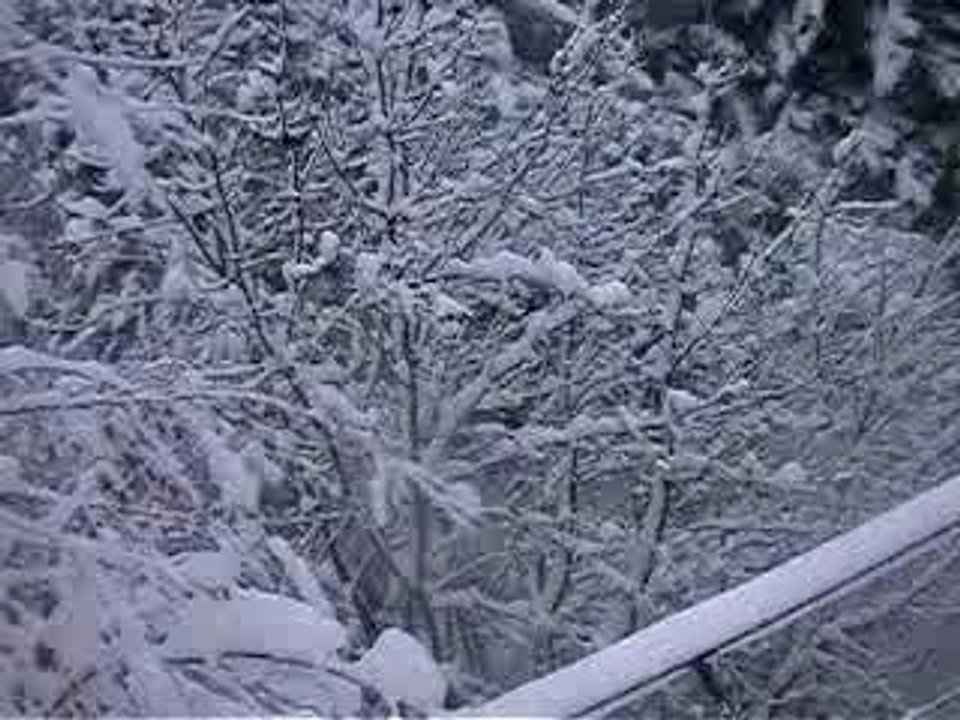 Freeride revard en freeride par la crémaillere