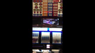 Triple Double 4 Times Pay | Pechanga Casino