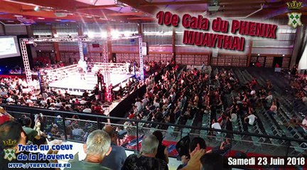 10e Gala du Phénix Muaythai à TRETS 23juin2018