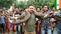 ニシキヘビと記念撮影した男性 突然の絞め付けられ危うく餌食に 印 - トモニュース