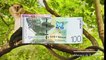 O Banco Central de São Tomé e Príncipe colocará em circulação a 1 de janeiro de 2018 novas notas da moeda nacional, no âmbito de um processo de reforma monetári