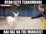 Σας θυμίζει κάτι; 