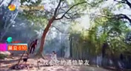 楚乔传 第65-66集 Princess Agents ep 65-66 精彩预告：楚喬身份大揭秘！真正身份竟然是. by The Eternal Love -