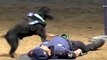 Cane fa il massaggio cardiaco e 'rianima' il poliziotto crollato a terra: