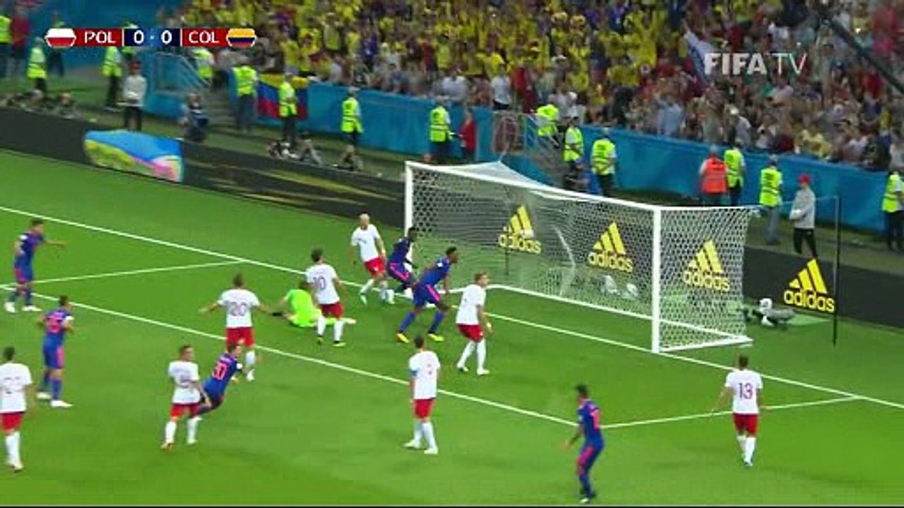 Pol0-3Col
