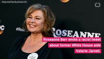 Roseanne Barr Apologizes For Racist Tweet, Saying She 'Lost Everything'