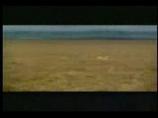 Unbelievable Antelope Moment 🦌